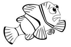 nemo_11