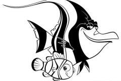 nemo_13