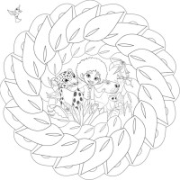 Mandalas de Encanto