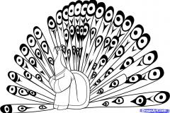 how-to-draw-a-shen-kung-fu-panda-step-7