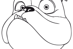 rio-luis-perro-bulldog