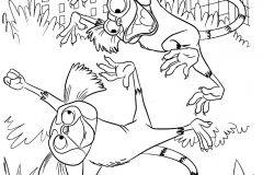 rio-marmoset-dibujalia