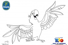 rio_lineart_blu_domestic_withChiquita