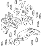 Sonic-13