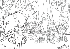 Sonic-3